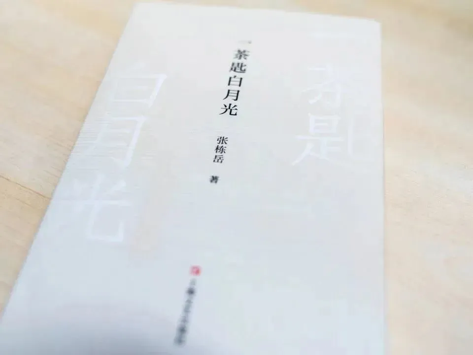 Ulinker Says｜Cynthia Zhang：寻找生活真谛的人生诗旅