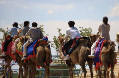 2025研学活动周回顾｜一段多维探索、无界成长的奇妙征程